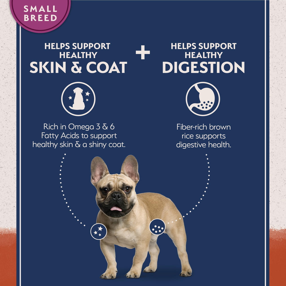 Natural Balance formule petite race chien adulte, bouchées adaptées petites mâchoires