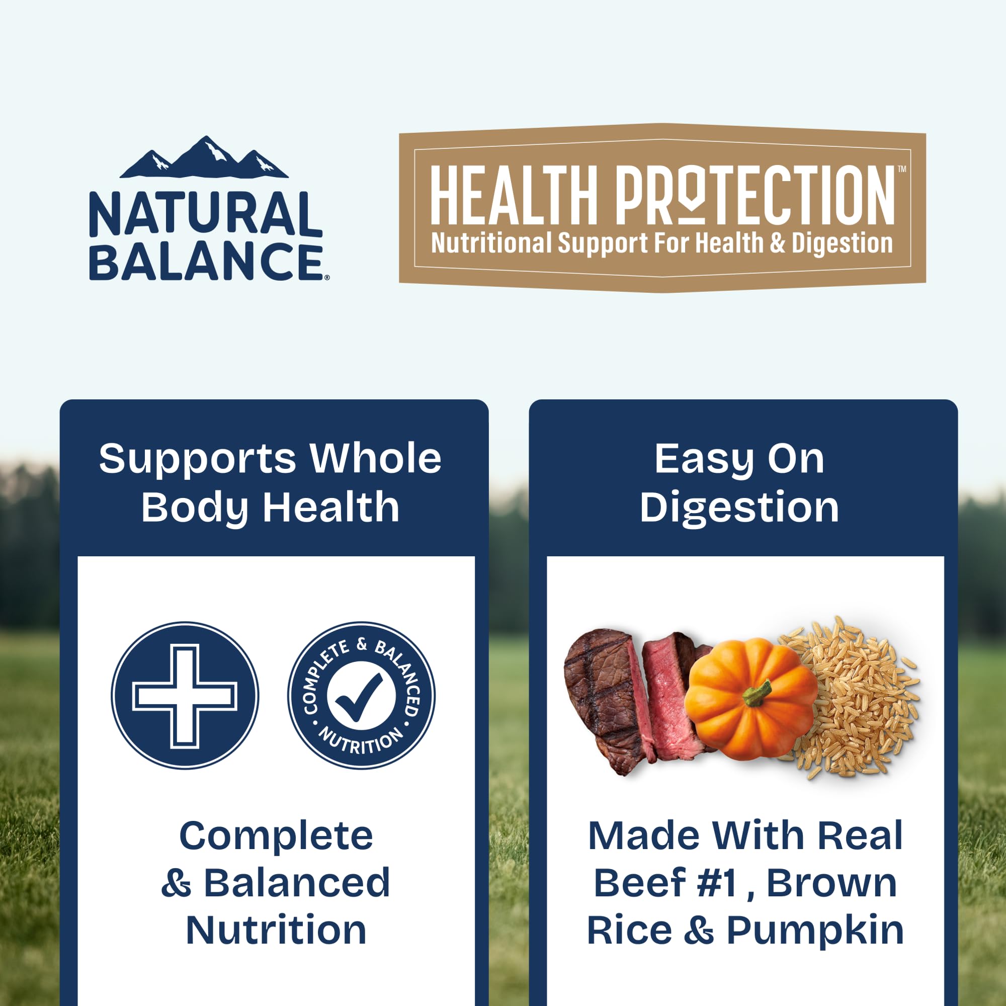 Natural Balance Health Protection gros plan boeuf, ingrédients de qualité et appétence.