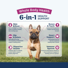 Chien dégustant Natural Balance Health Protection, repas appétissant et facile à servir.