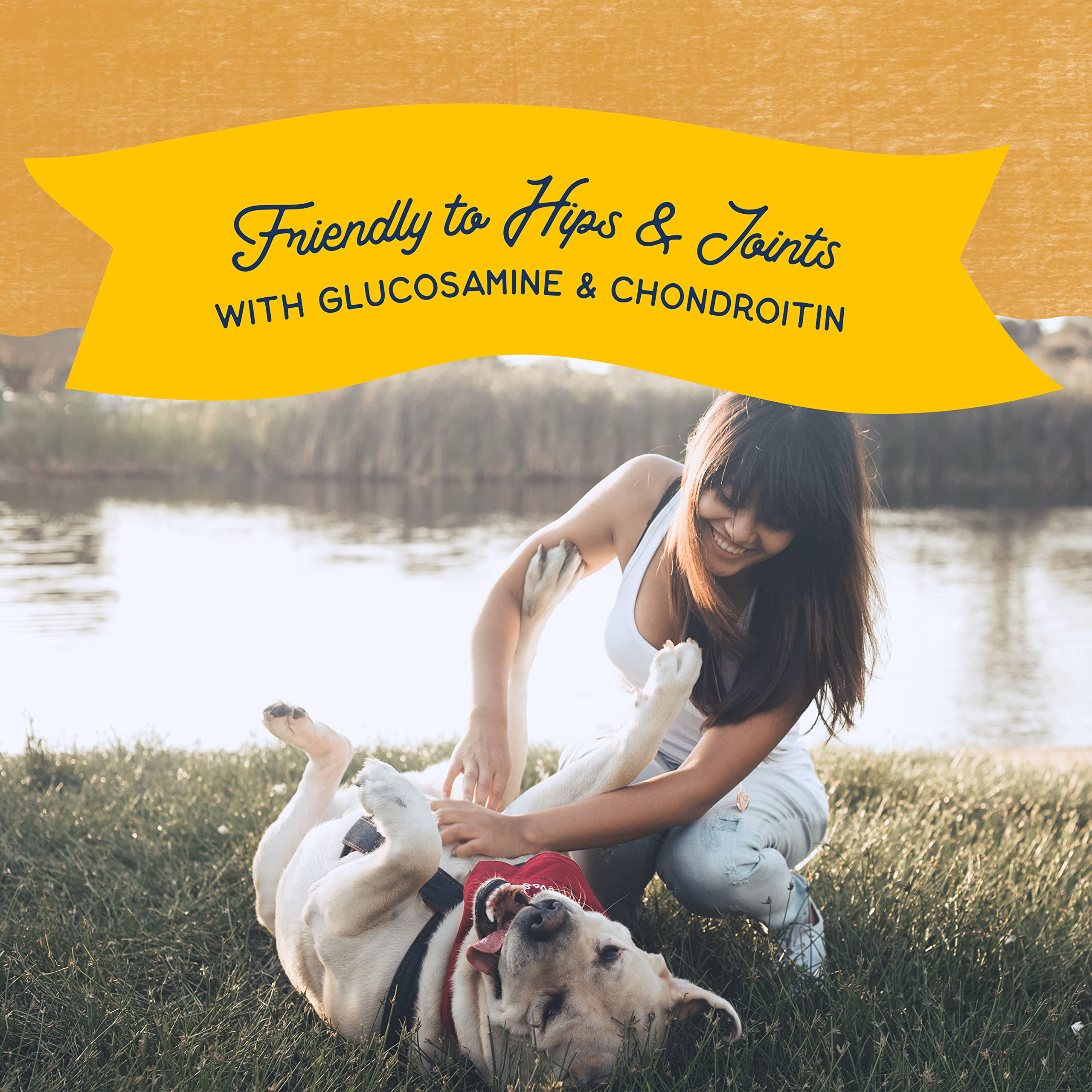 Natural Balance Jumpin' Stix – idéal pour tous les chiens adultes, toutes races.