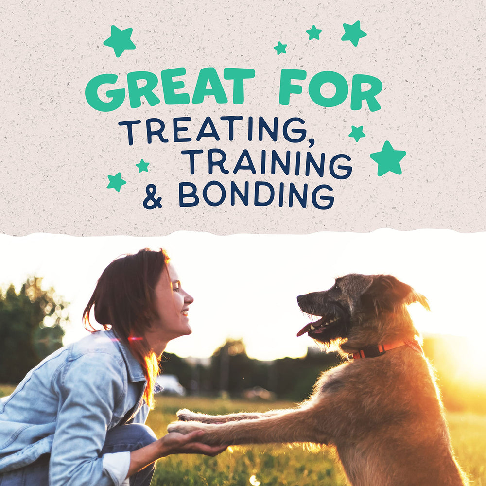 Natural Balance Jumpin' Stix sans colorants ni arômes artificiels pour chiens.