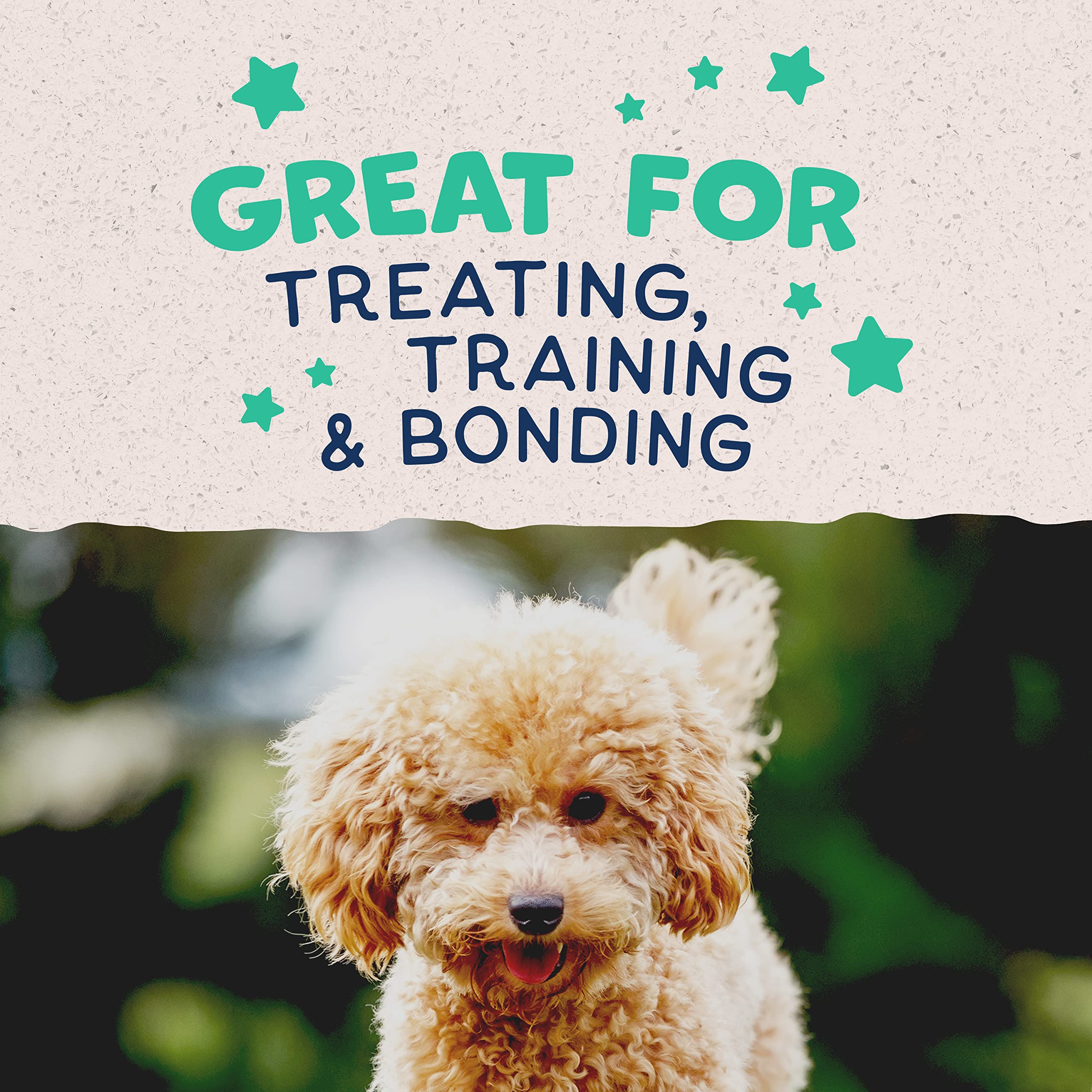 Natural Balance Mini Rewards idéal pour l'entraînement quotidien des chiens