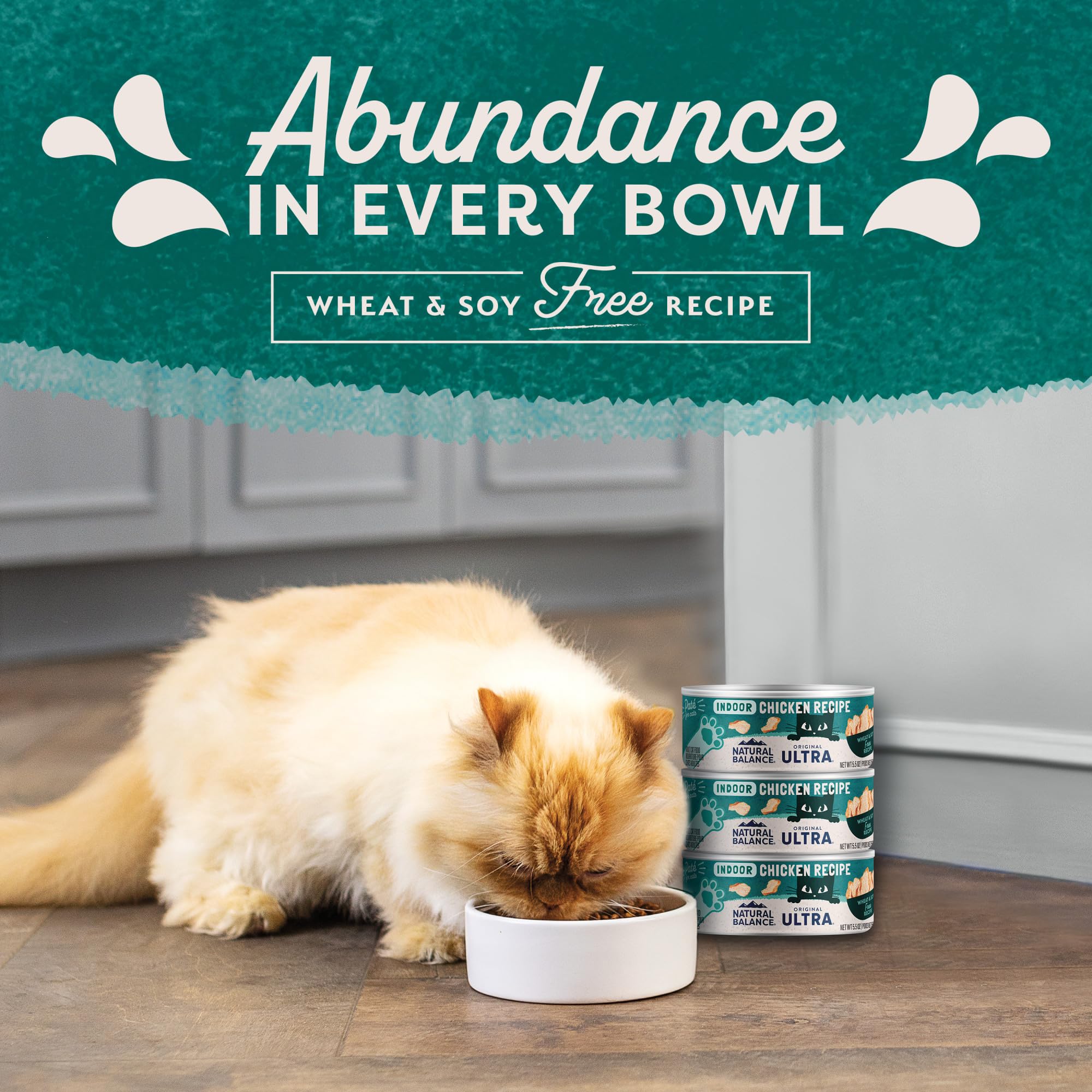 Natural Balance nutrition complète — soutien potentiel pour le bien-être général du chat