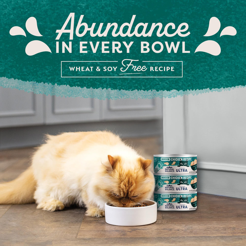 Natural Balance nutrition complète — soutien potentiel pour le bien-être général du chat