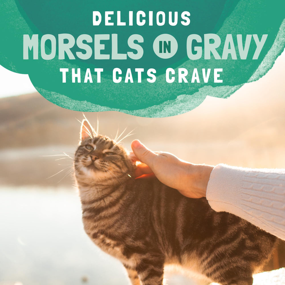 Natural Balance Platefulls alimentation quotidienne pour chats, plaisir et équilibre.