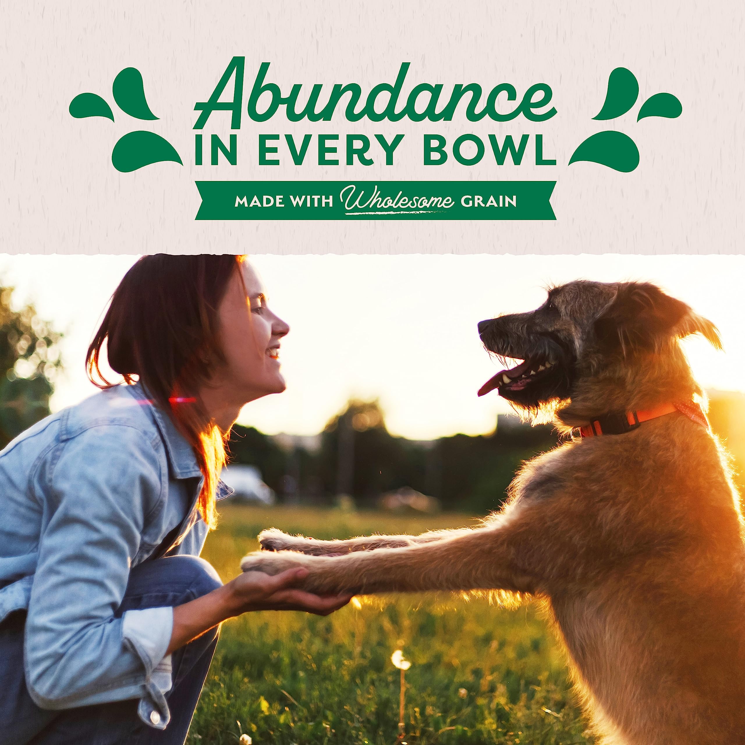 Natural Balance Original Ultra pour chien, ingrédients nutritifs pour un repas équilibré.