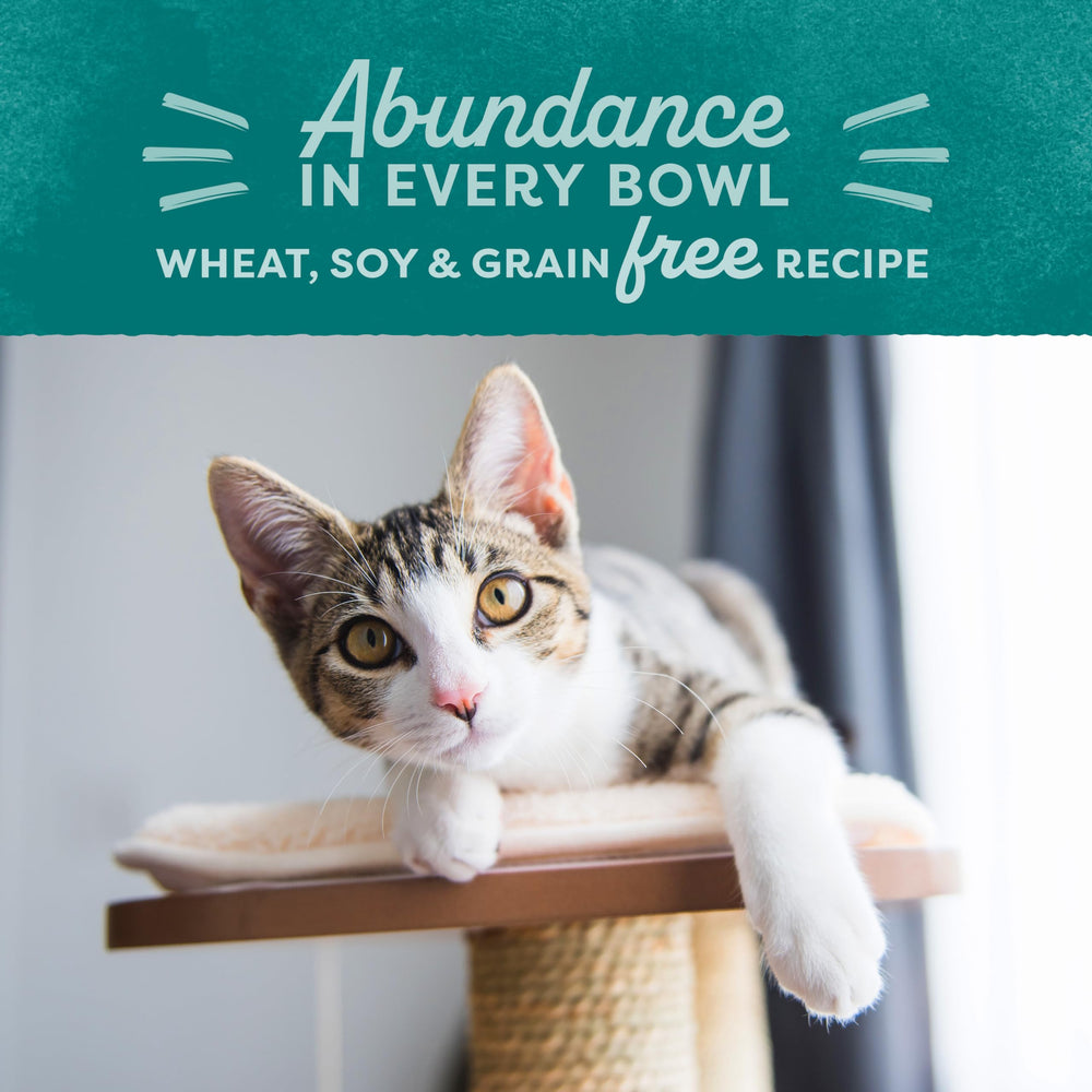 Nourriture sèche adaptée pour chats adultes d'intérieur.