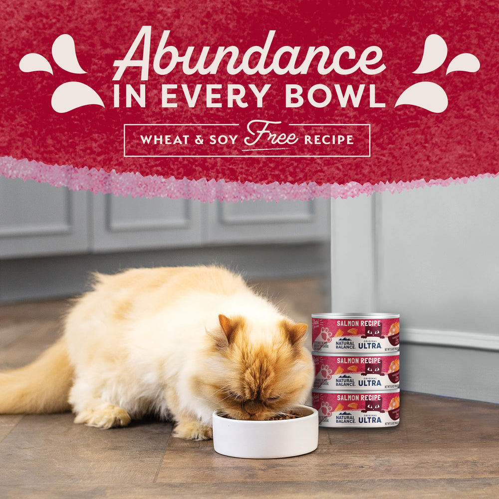 Natural Balance Original Ultra Chat - routine quotidienne pratique et riche en protéines.