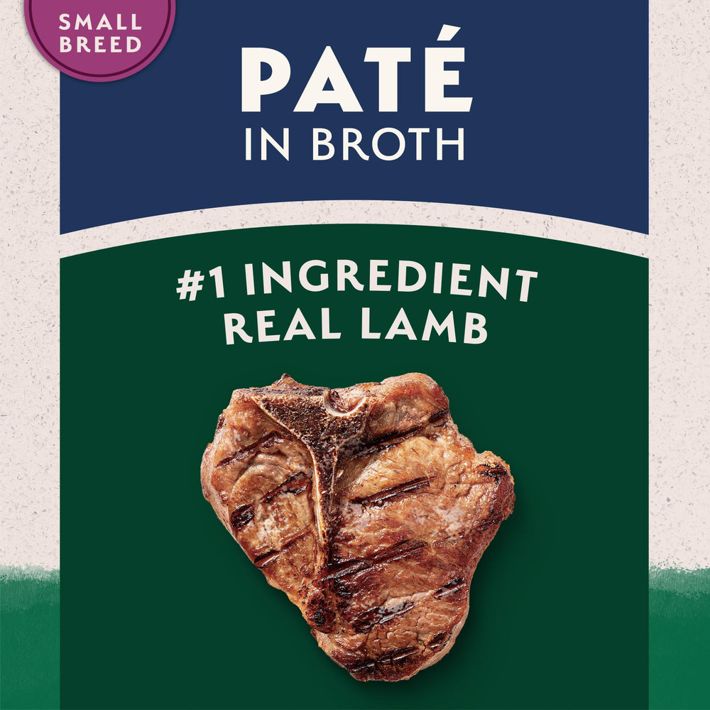 Natural Balance pelage sain agneau riz brun – soutien quotidien de qualité