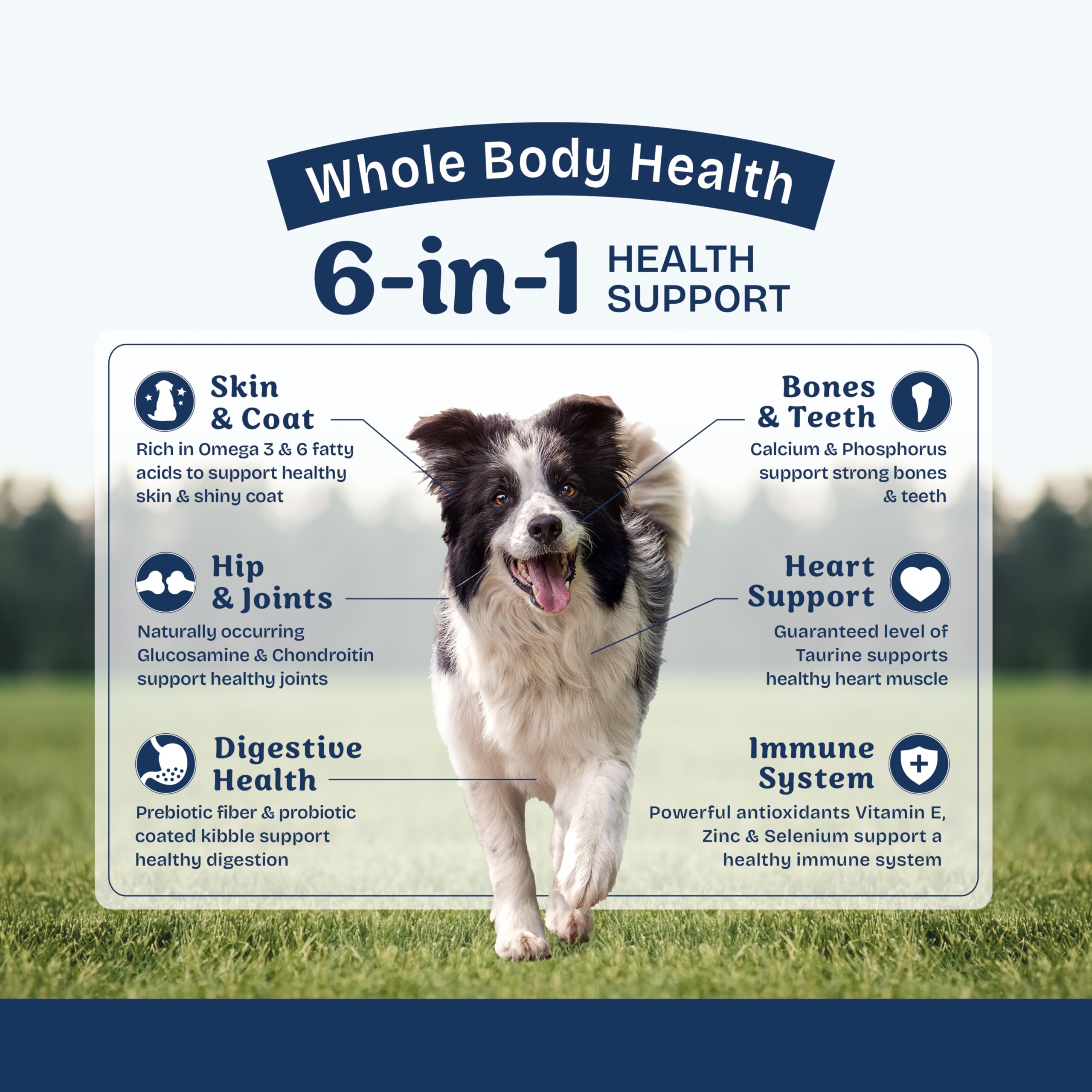 Natural Balance Health Protection : bienfaits 6-en-1 pour une alimentation complète et équilibrée.