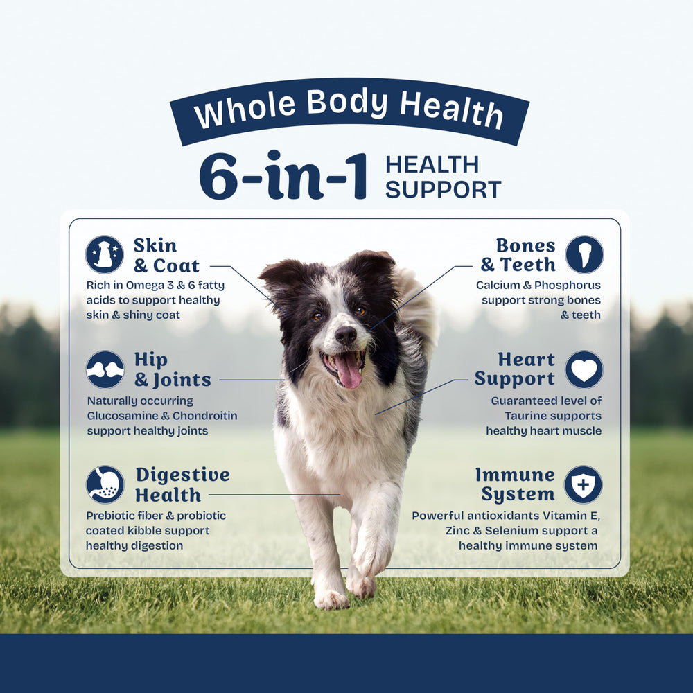 Natural Balance Health Protection : bienfaits 6-en-1 pour une alimentation complète et équilibrée.