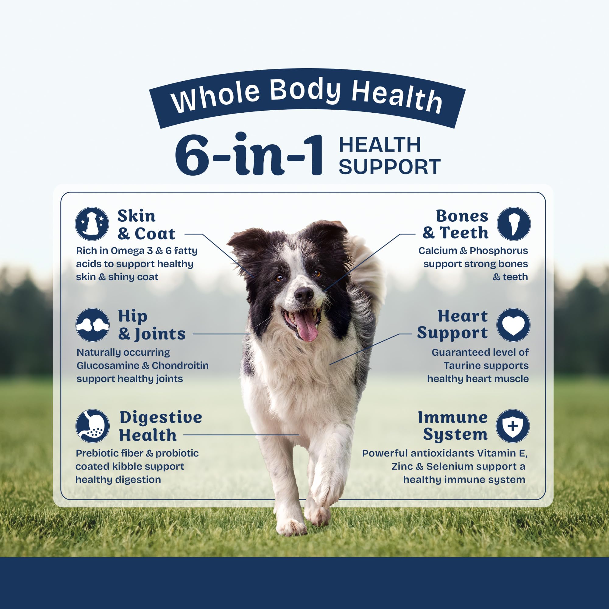 Natural Balance Health Protection: bol chien savourant croquettes riches en goût et texture.