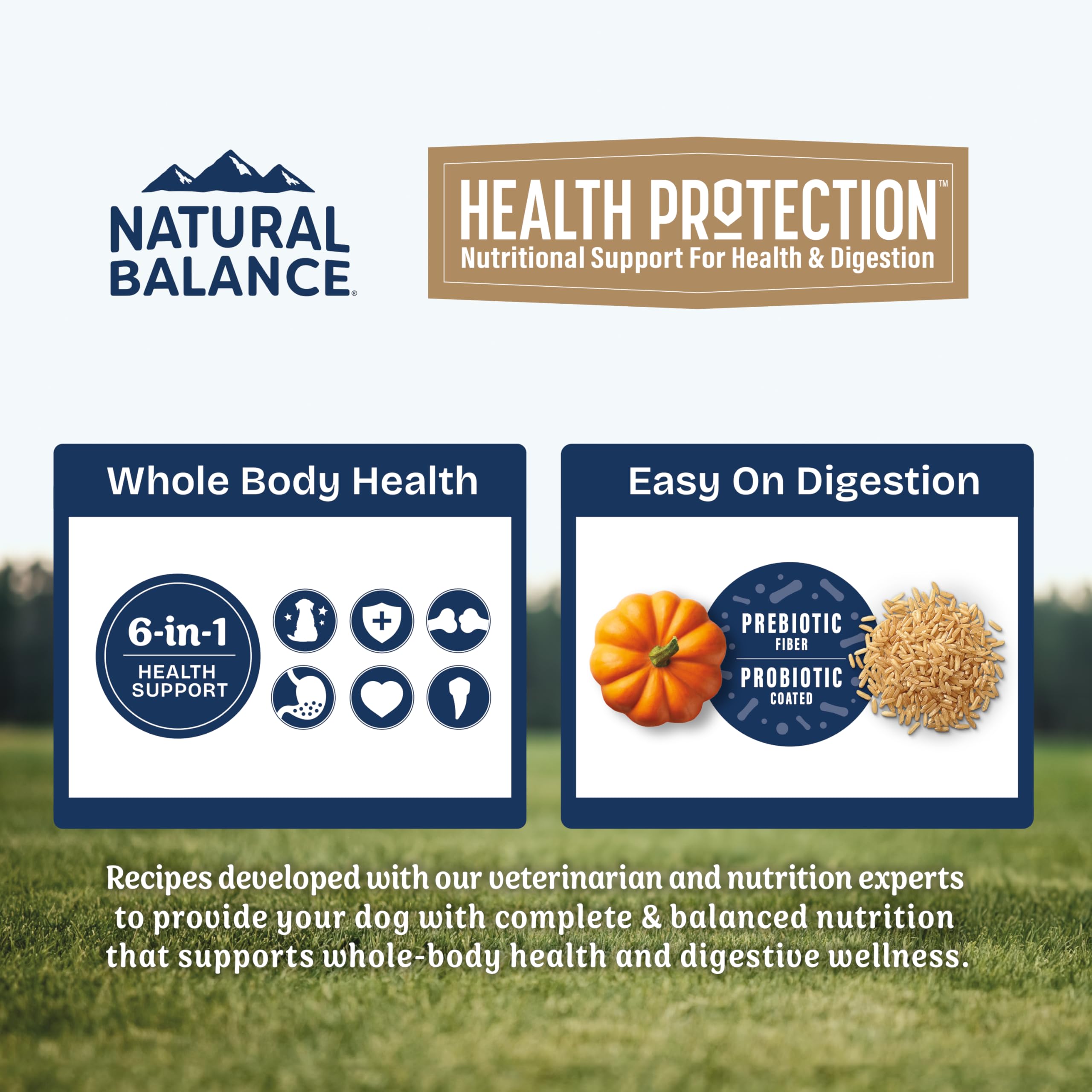 Natural Balance Health Protection : ingrédients naturels sans maïs, soja ni blé.