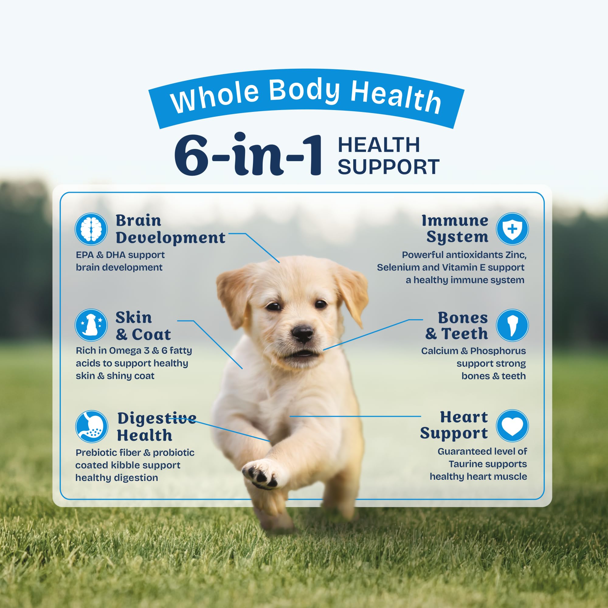 Natural Balance Protection Chiot – calcium et phosphore pour des os et dents solides.