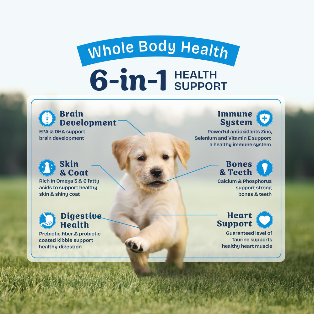 Natural Balance Health Protection Puppy soutien du cœur et des nutriments équilibrés.