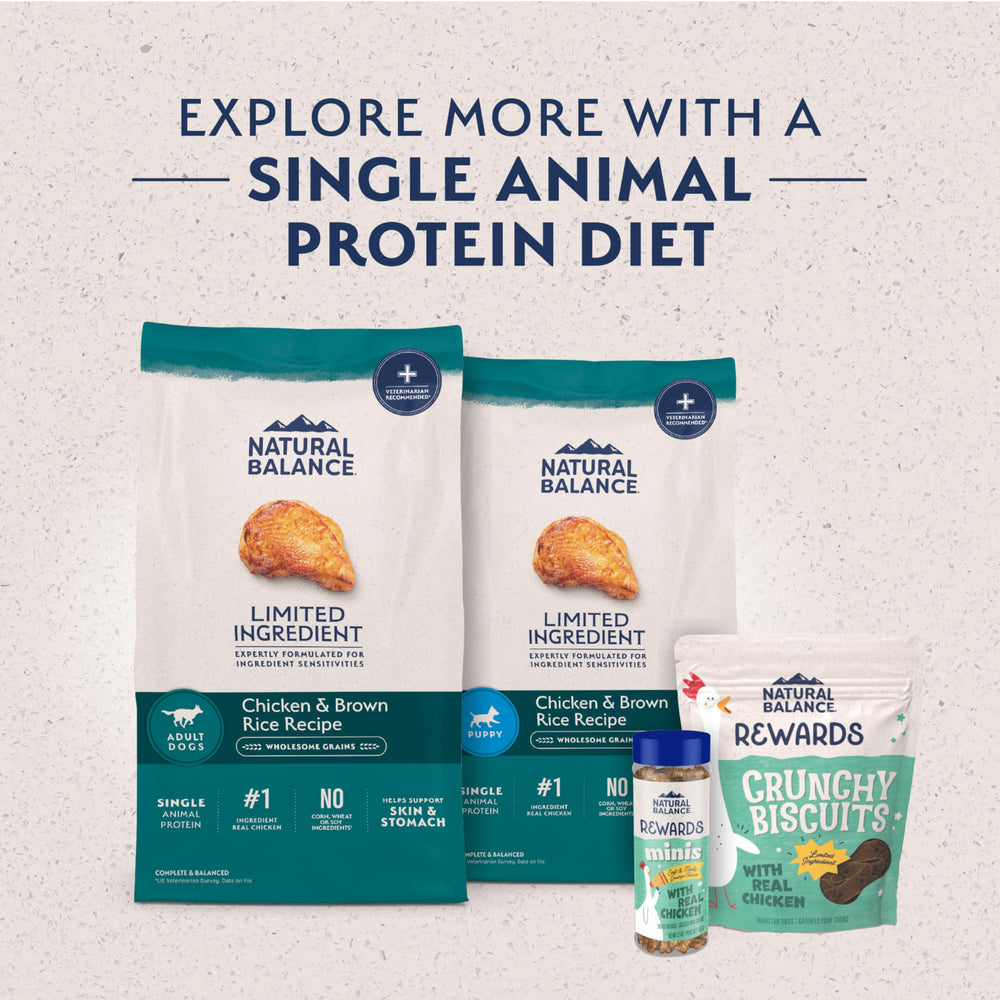 Natural Balance: sans additifs artificiels, alimentation chien naturelle