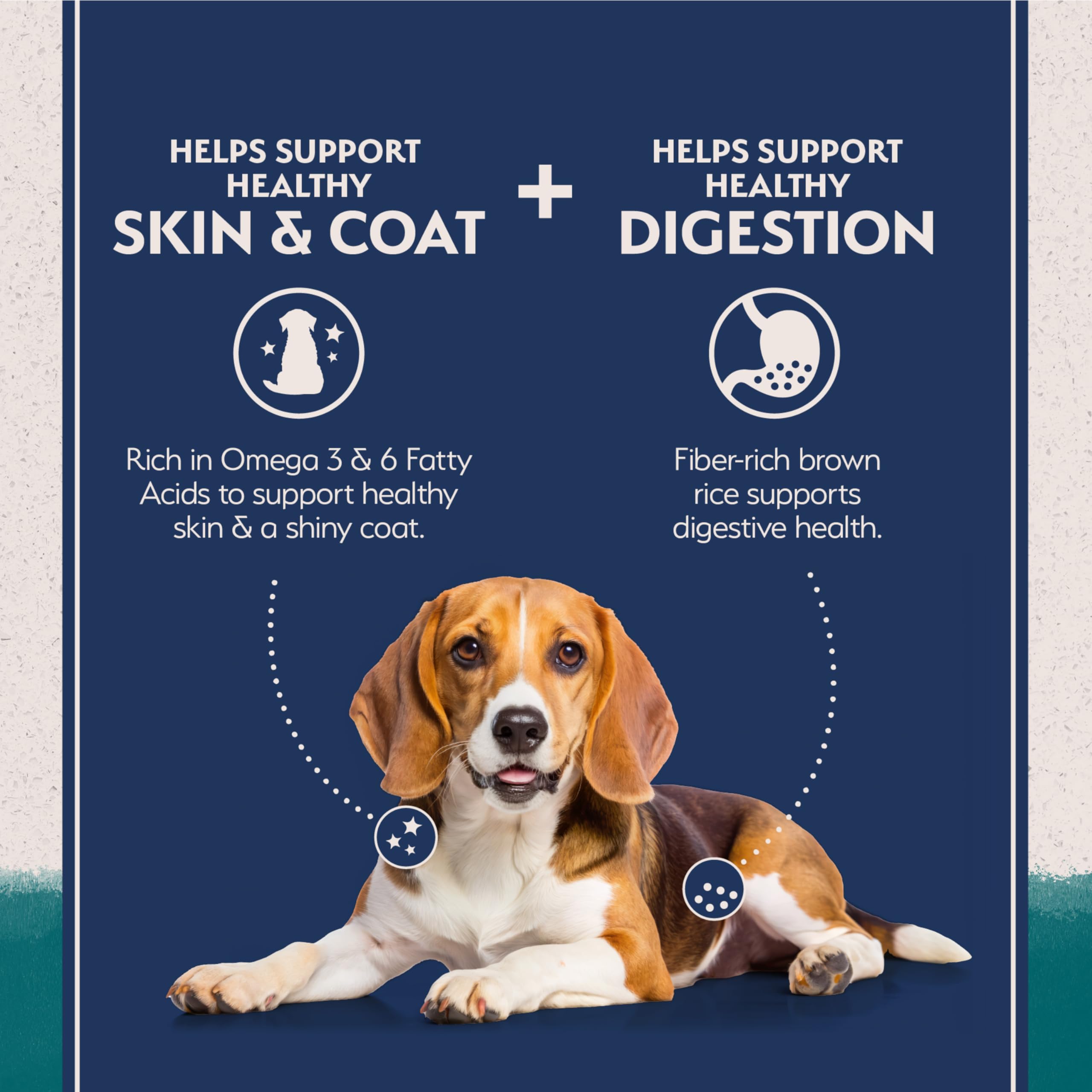 Natural Balance: recette sans maïs, blé et soja, alimentation chien sensibles
