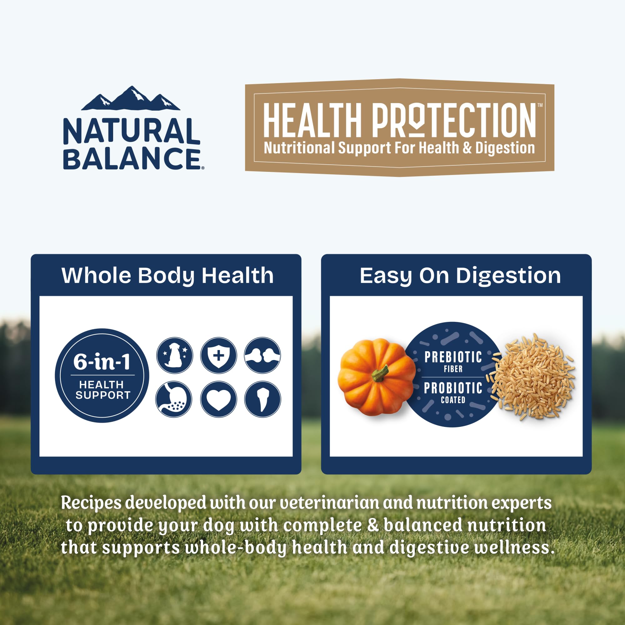 Natural Balance Santé Protection saumon, riz brun et potiron pour une nutrition complète.