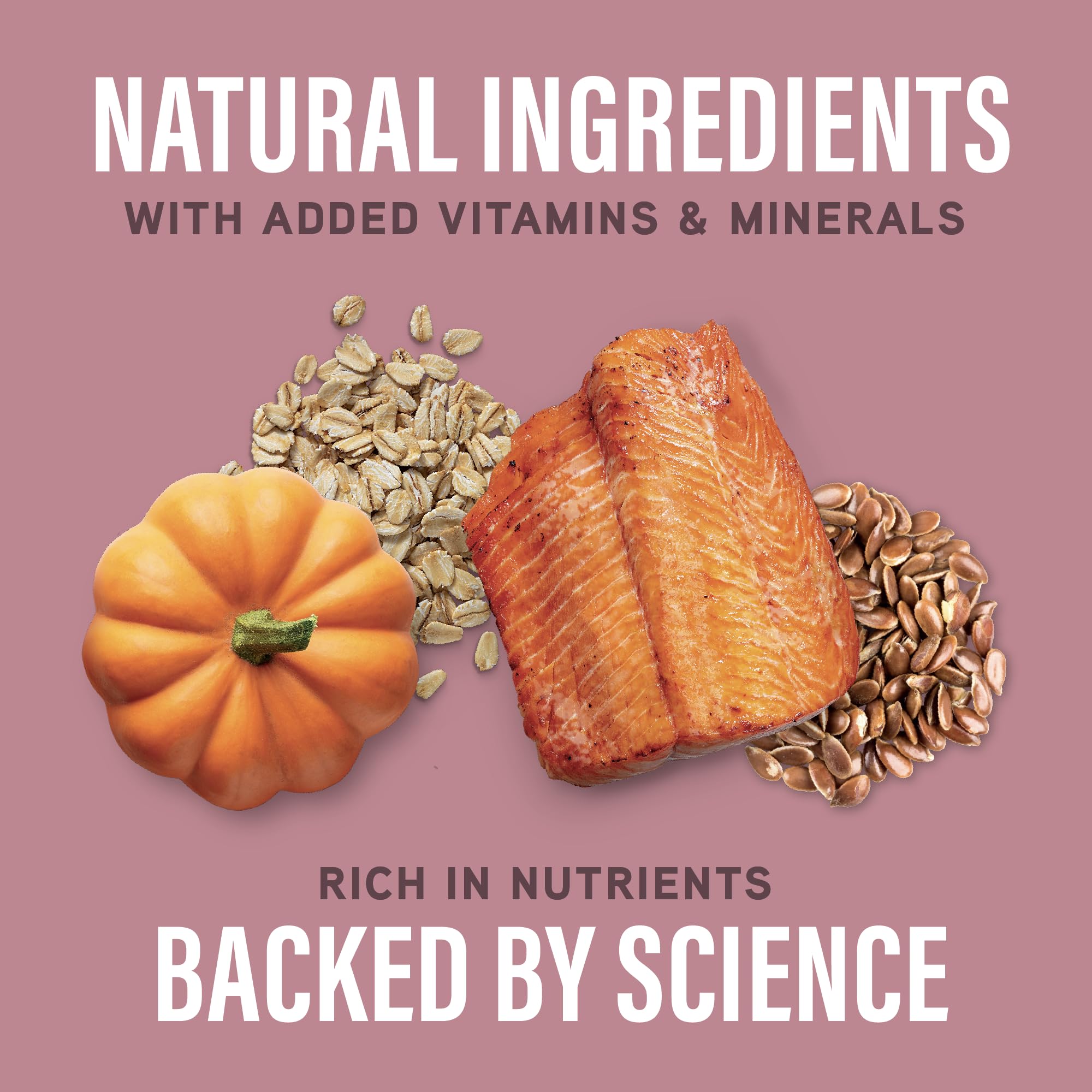 Flocons d’avoine et citrouille dans Natural Balance Specialized Nutrition