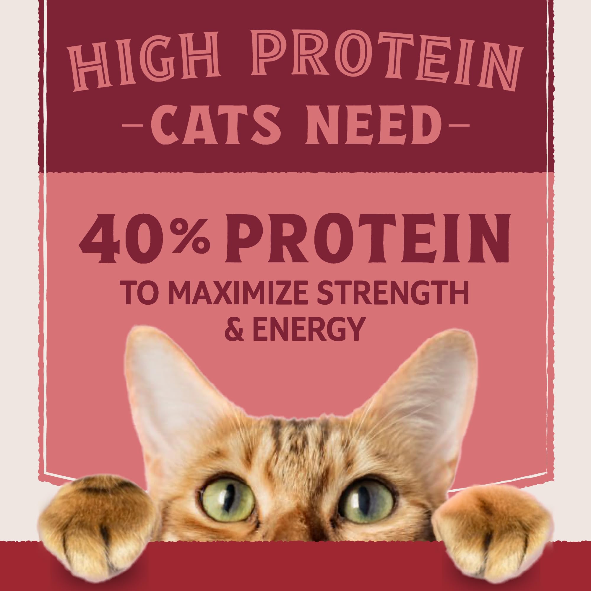 Natural Balance Ultra Protein: croquettes sans cereales pour chats sensibles