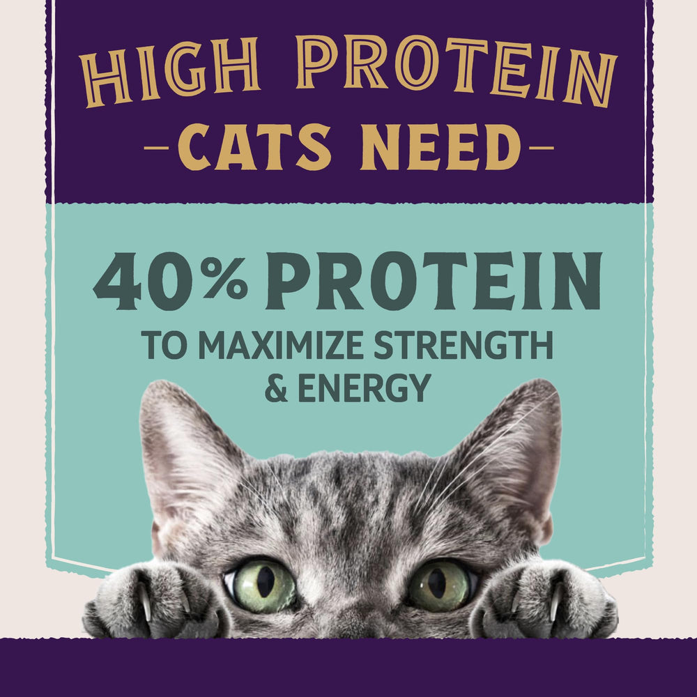 Natural Balance Ultra Protein Plus digestion facile, pré et probiotiques pour confort intestinal.