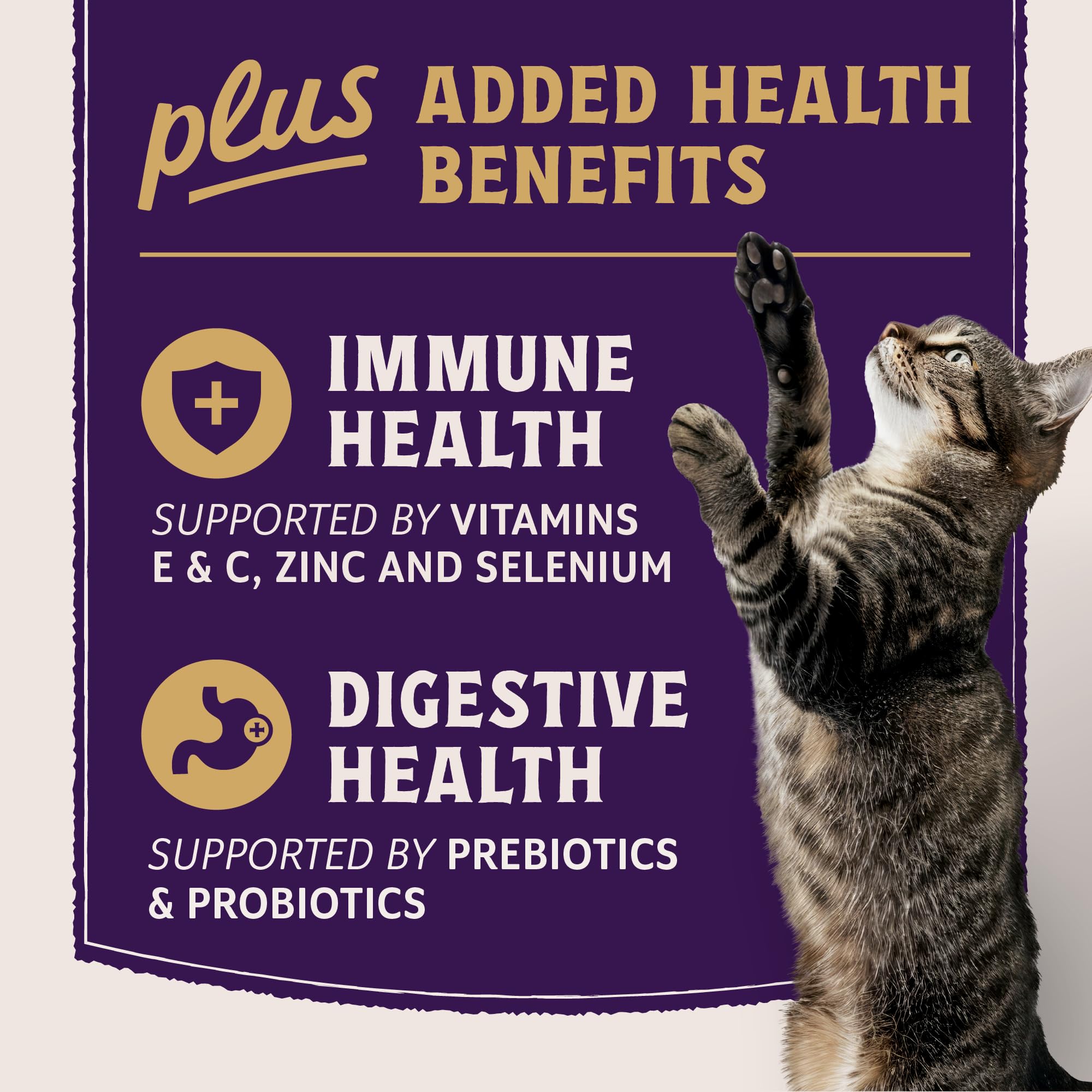 Natural Balance Ultra Protein Plus protéines réelles et organes, source de protéines hautement digestibles.
