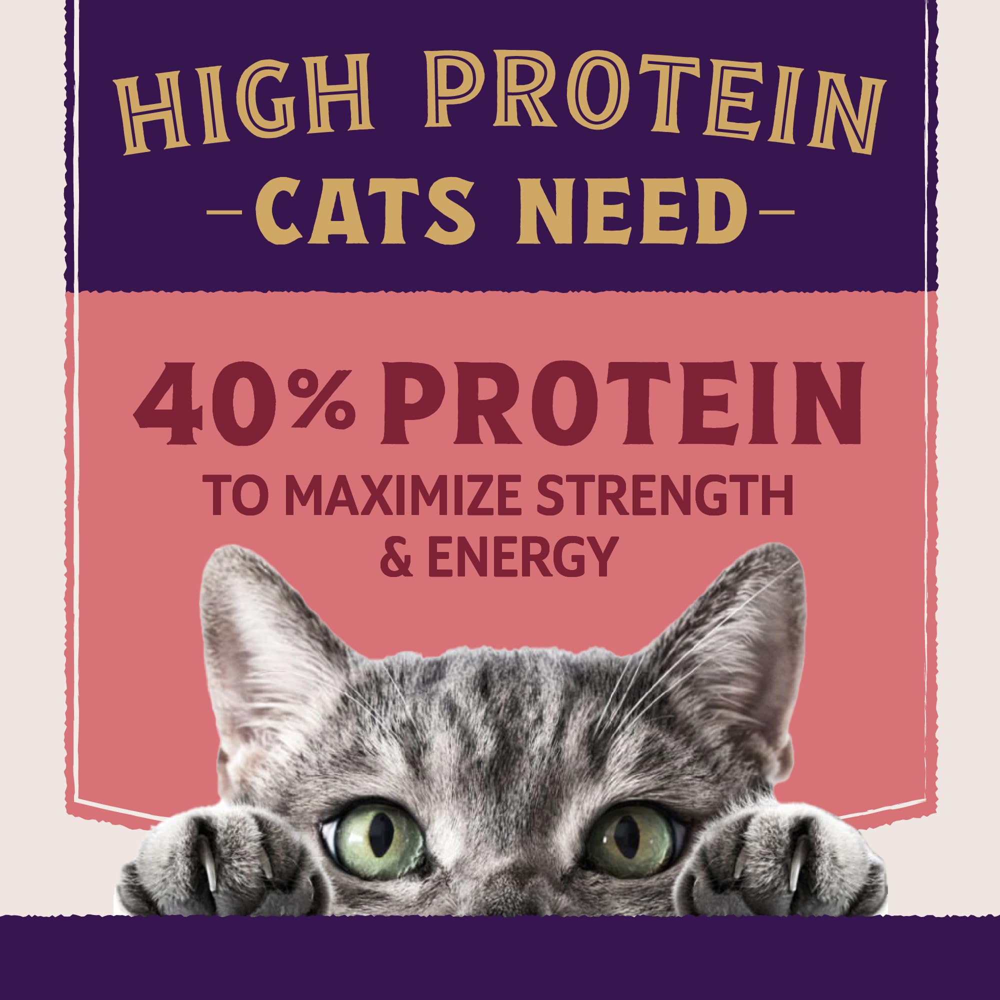Natural Balance Ultra Protein Plus croquettes peau-poil: soutien potentiel peau saine et pelage brillant.