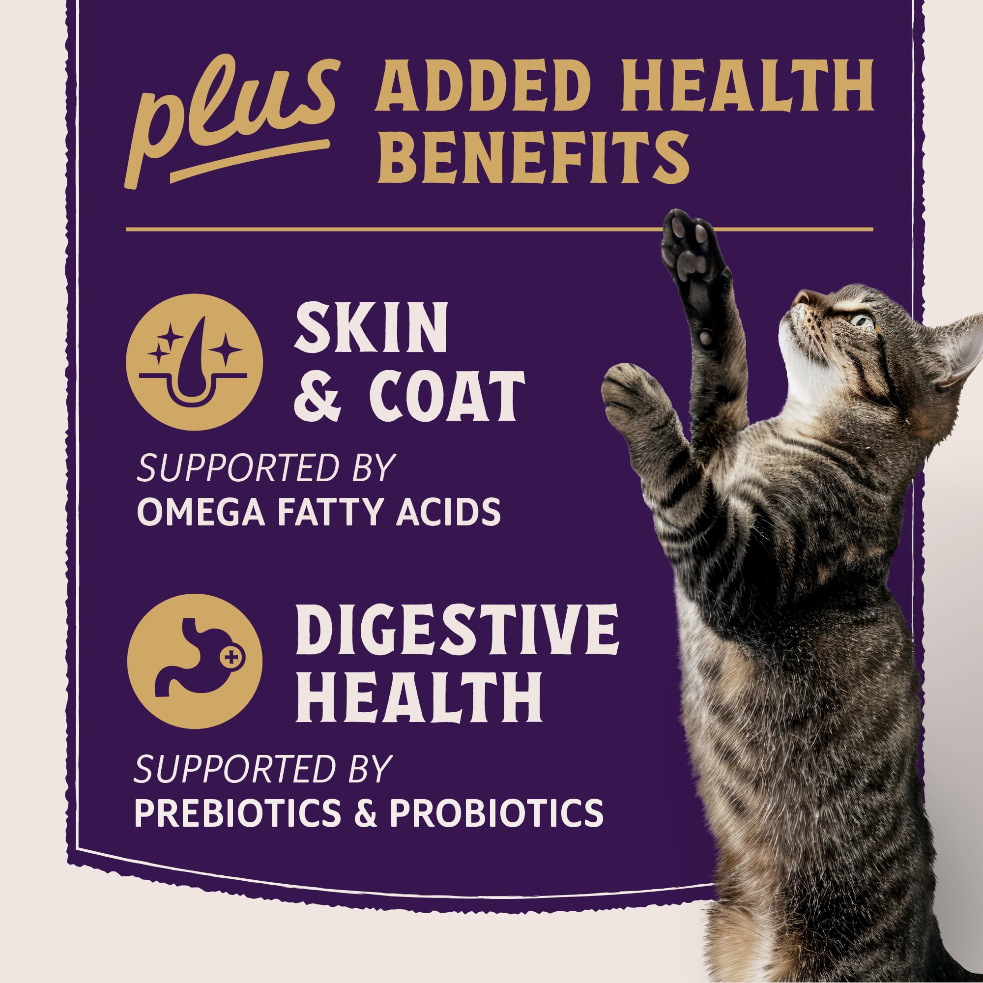 Natural Balance Ultra Protein Plus croquettes sans-cereales: sans maïs, blé ou soja.