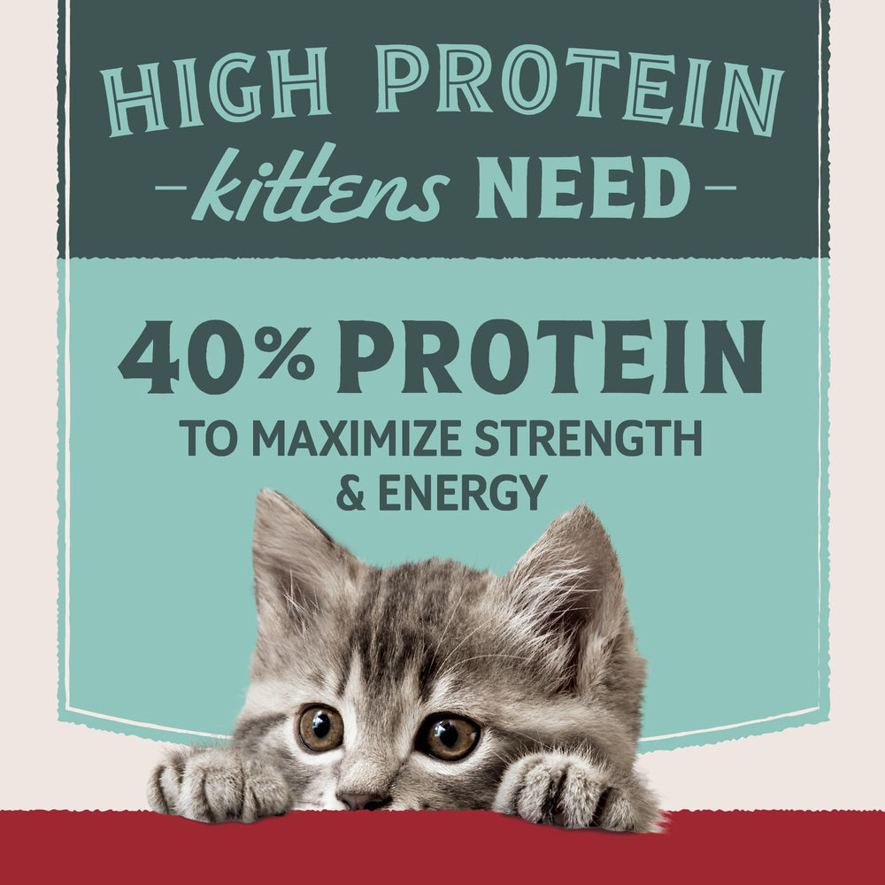 Natural Balance Ultra Protéine Chaton - ingrédients naturels sans céréales pour chatons.