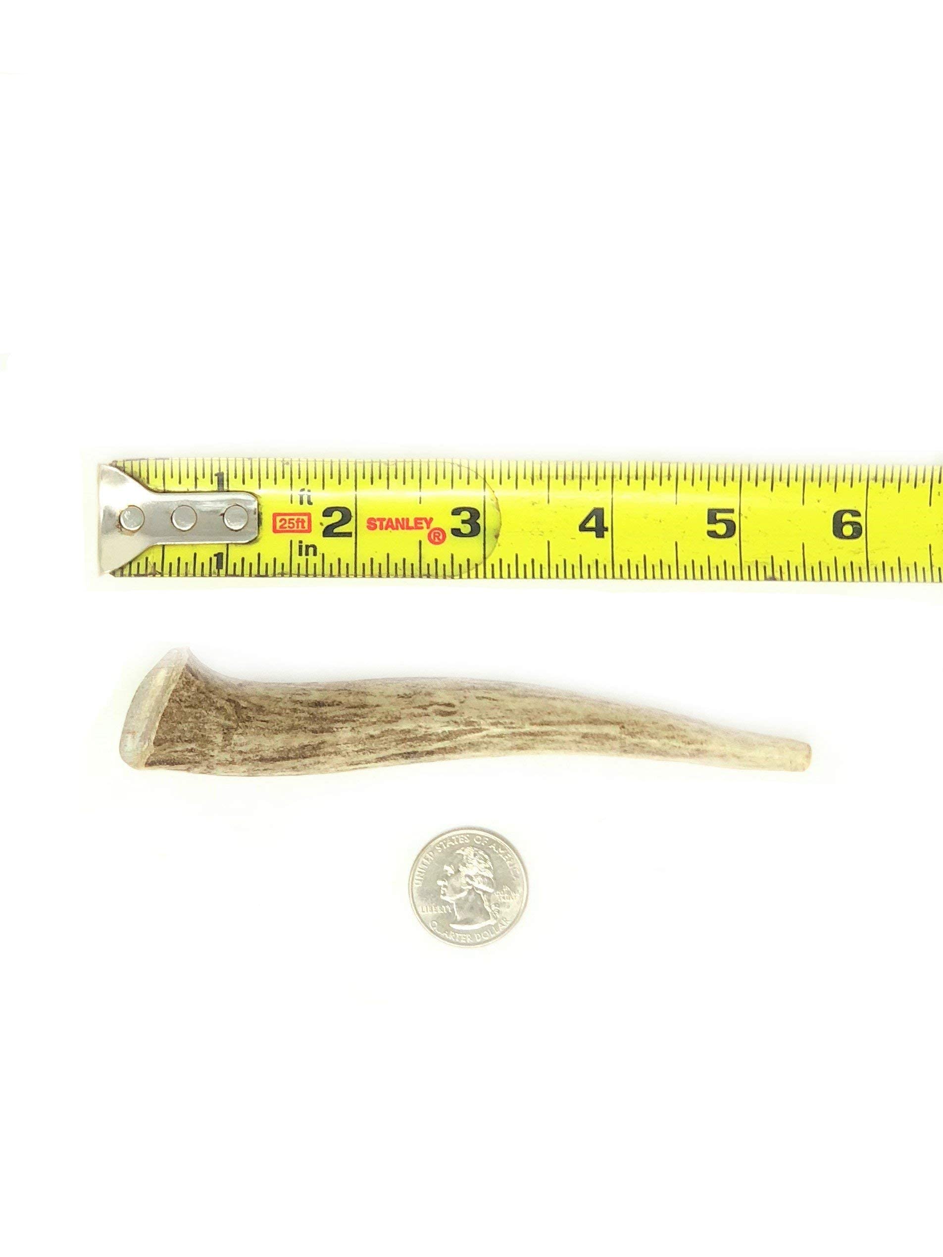Natural Dakota Half-Pint utilisation quotidienne pour chiens jusqu’à 30 livres.