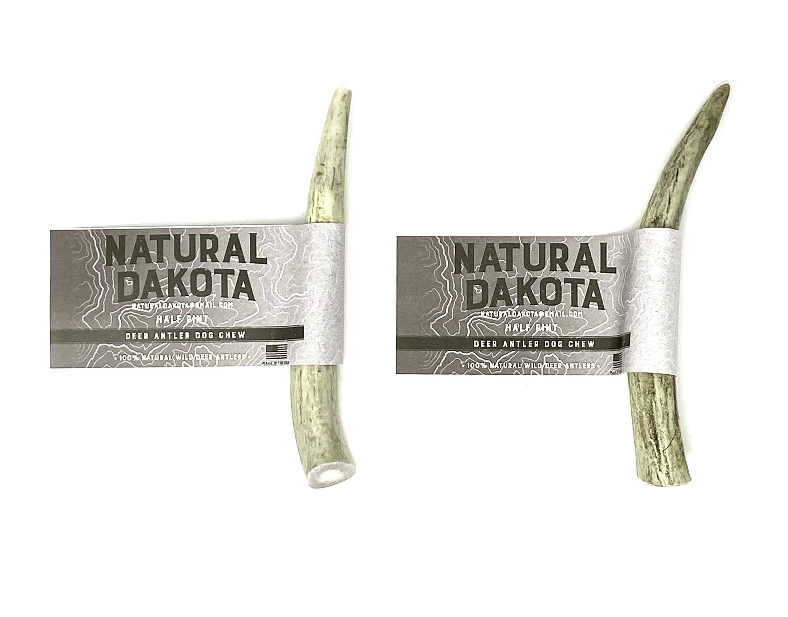 Natural Dakota Half-Pint os de cerf, bois poli et sans arêtes.