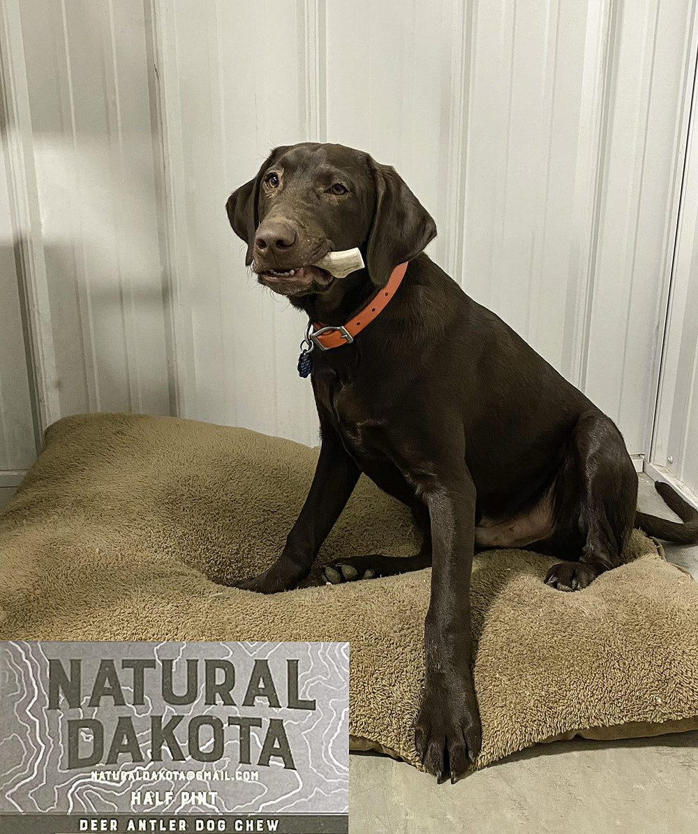 Natural Dakota Half-Pint, source naturelle de calcium, zinc et fer.