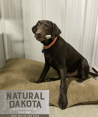Natural Dakota Half-Pint, source naturelle de calcium, zinc et fer.
