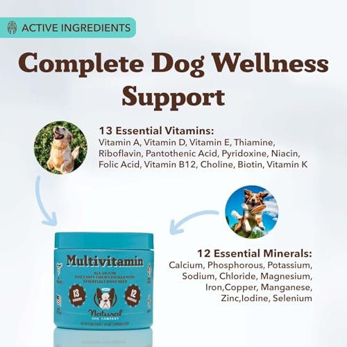 Natural Dog Company – emballage recyclable, choix durable pour les friandises