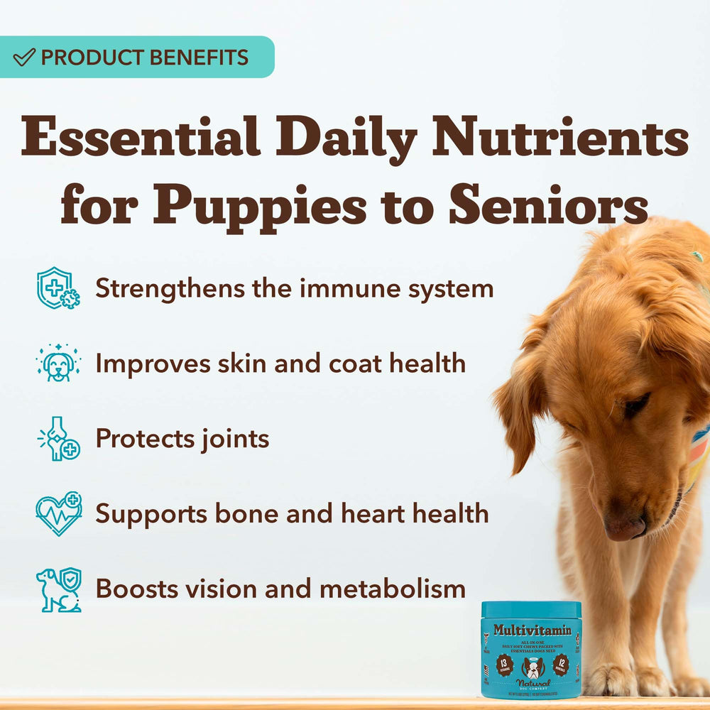 Natural Dog Company – friandises molles aromatisées qui plaisent aux chiens
