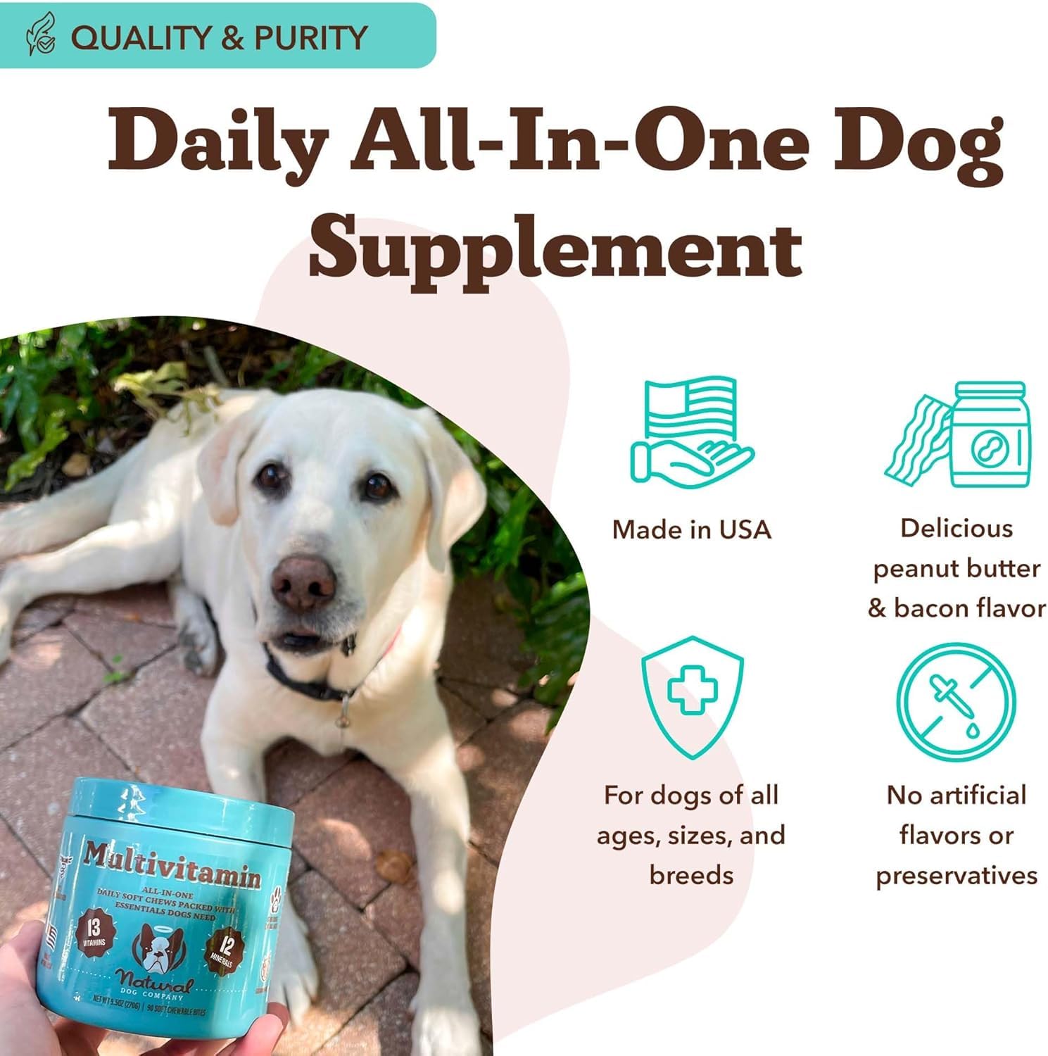 Natural Dog Company – pelage brillant et peau saine grâce aux nutriments
