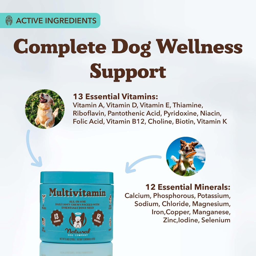 Natural Dog Company – texture douce, bouchées faciles à mâcher pour chiens