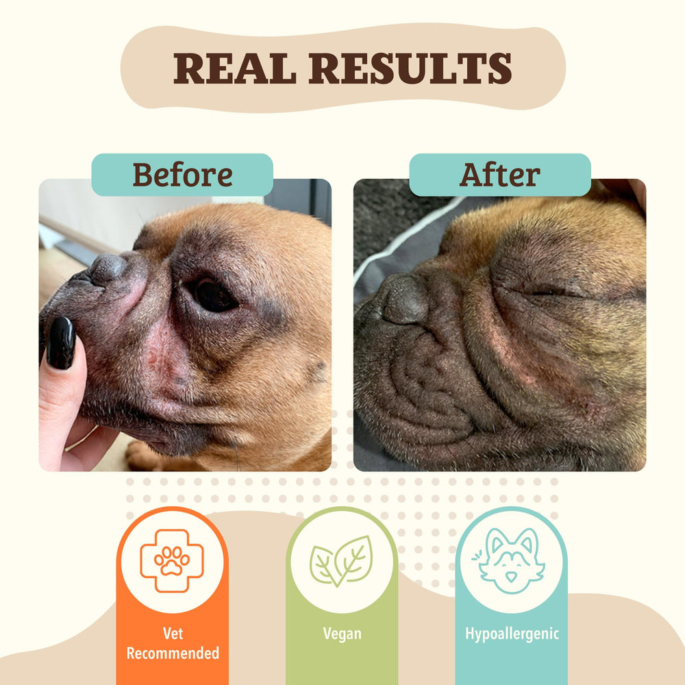 Natural Dog Company appliquer-baume-rides: facilité d'application sur les plis.