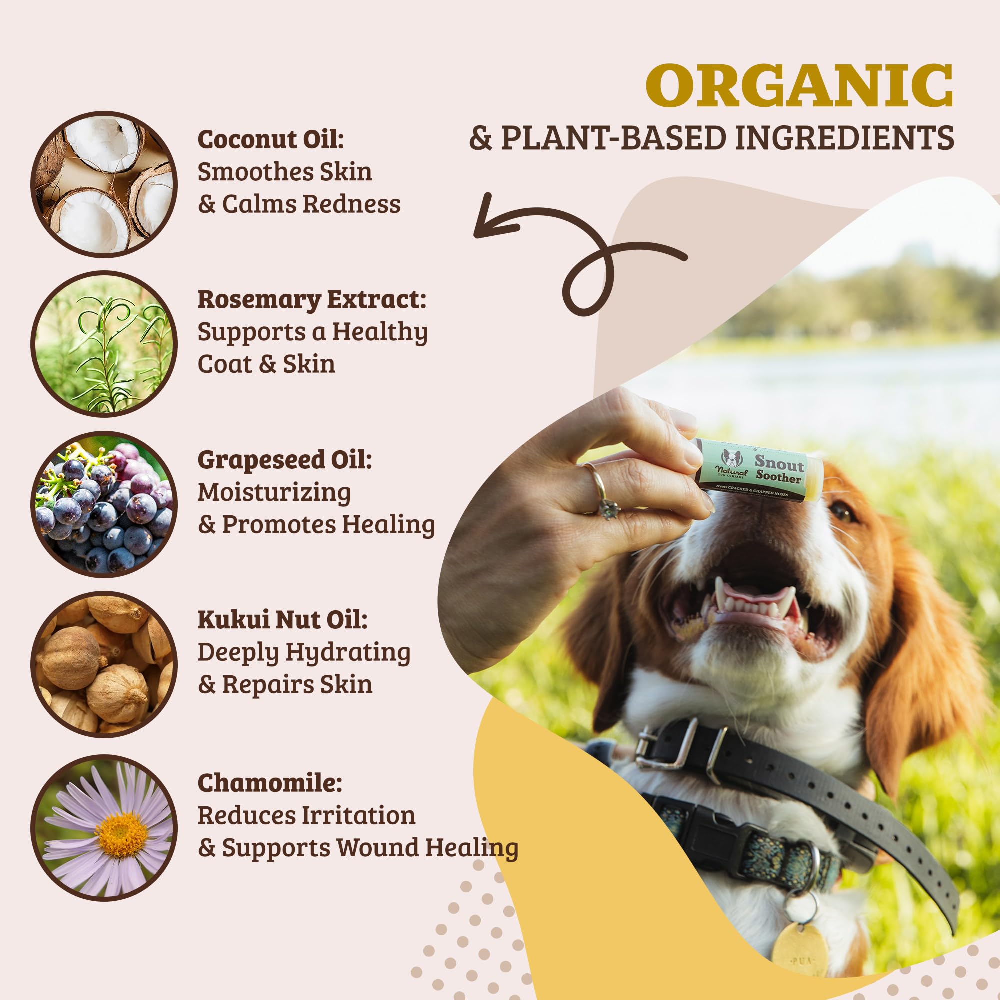 Natural Dog Company Baume Truffe - adapte a toutes les races pour un soin quotidien