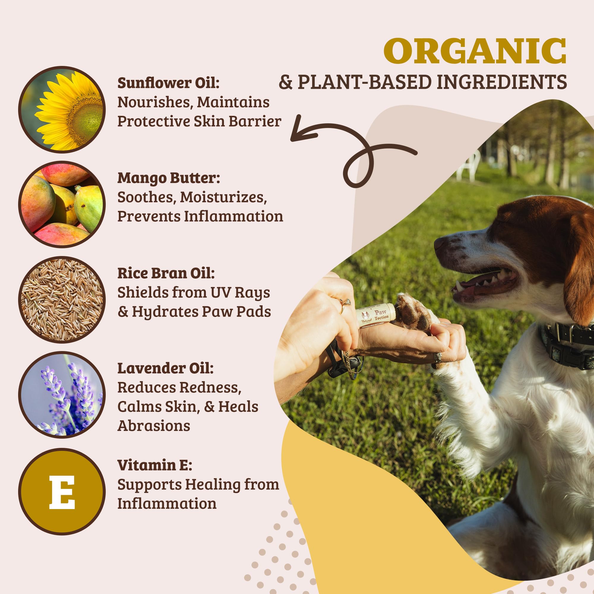Natural Dog Company Pawtection: boîte pratique de 0,15 oz pour les sorties.