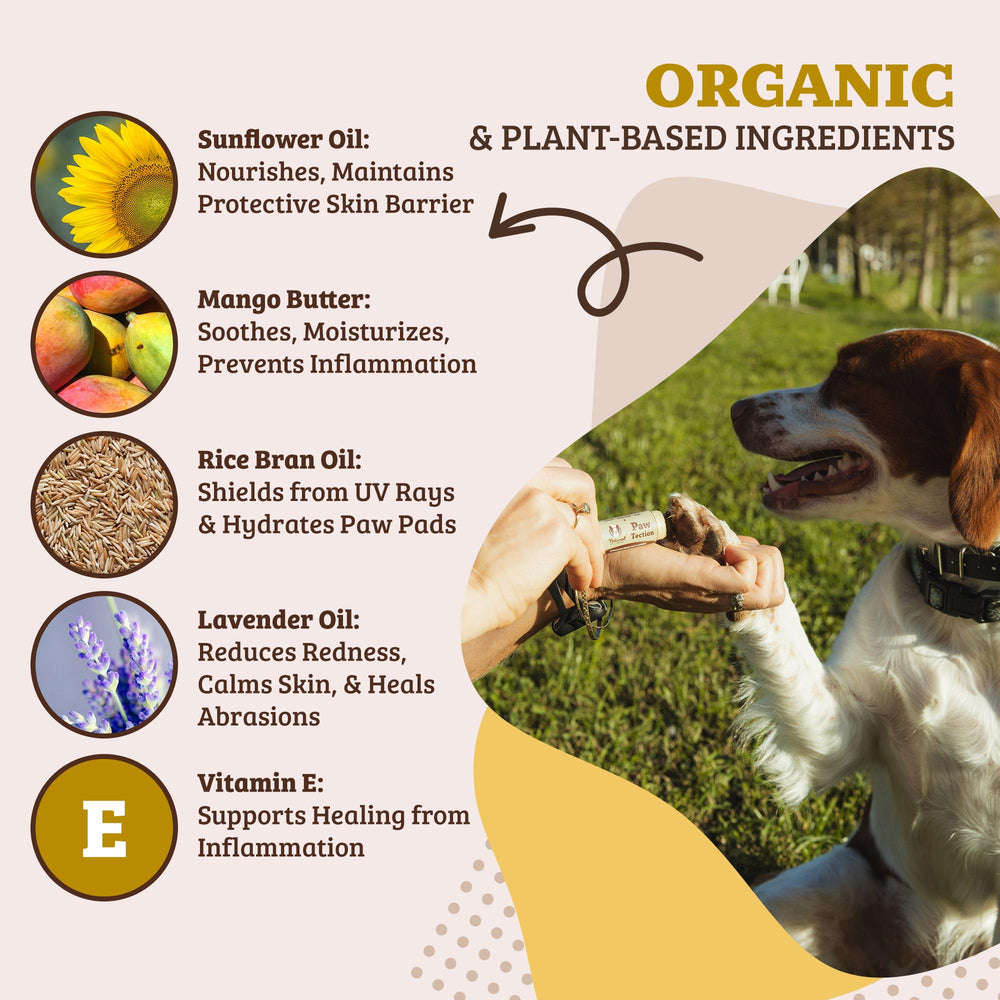 Natural Dog Company Pawtection: boîte pratique de 0,15 oz pour les sorties.