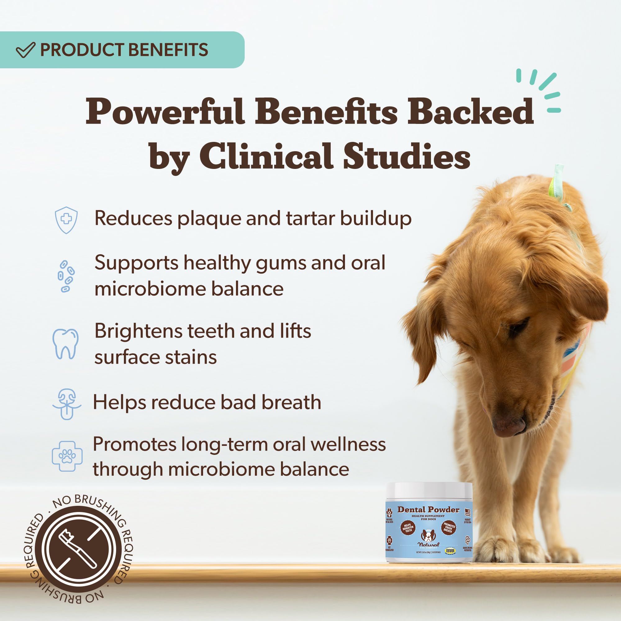 Natural Dog Company Poudre Dentaire — chien avec sourire plus frais après utilisation