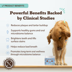 Natural Dog Company Poudre Dentaire — chien avec sourire plus frais après utilisation