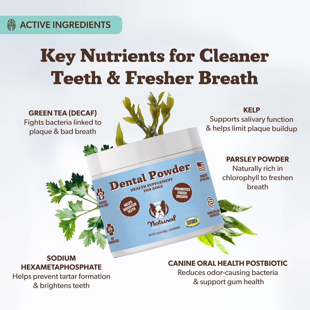 Natural Dog Company Poudre Dentaire — saupoudrage sur nourriture sans brosse nécessaire