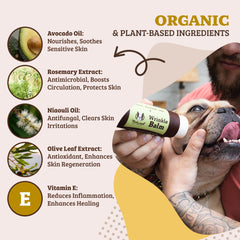 Natural Dog Company ingredients-bienfaits: hydratation naturelle et douceur.