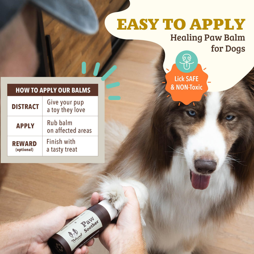 Natural Dog Company Paw Soother Balm montre une application et un massage faciles pour hydrater.