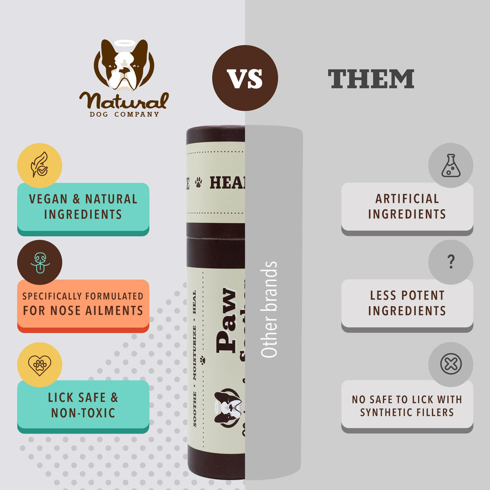 Natural Dog Company Paw Soother Balm dans une boîte recyclable, emballage éco-responsable.