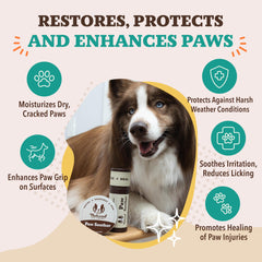 Natural Dog Company Paw Soother Balm Calendula apaise et soutient la récupération des coussinets.