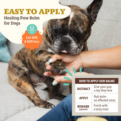 Natural Dog Company protection des pattes contre irritants et allergènes.