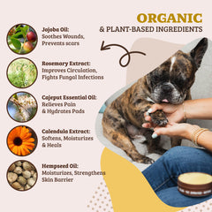 Natural Dog Company rituel soin pattes complet pour hydrater et réparer.